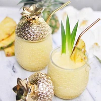 Set of 2 Pineapple Cocktail Glasses by Brilliant