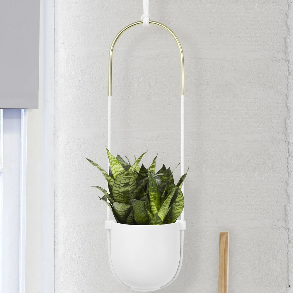 Bolo Planter White