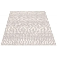 Annika Silver Rug