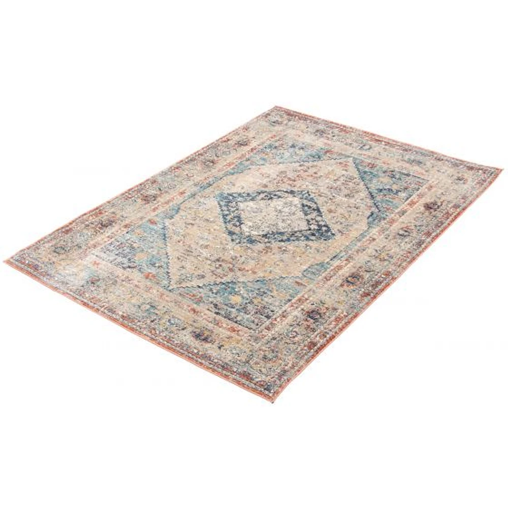 Ava Multi Color Rug