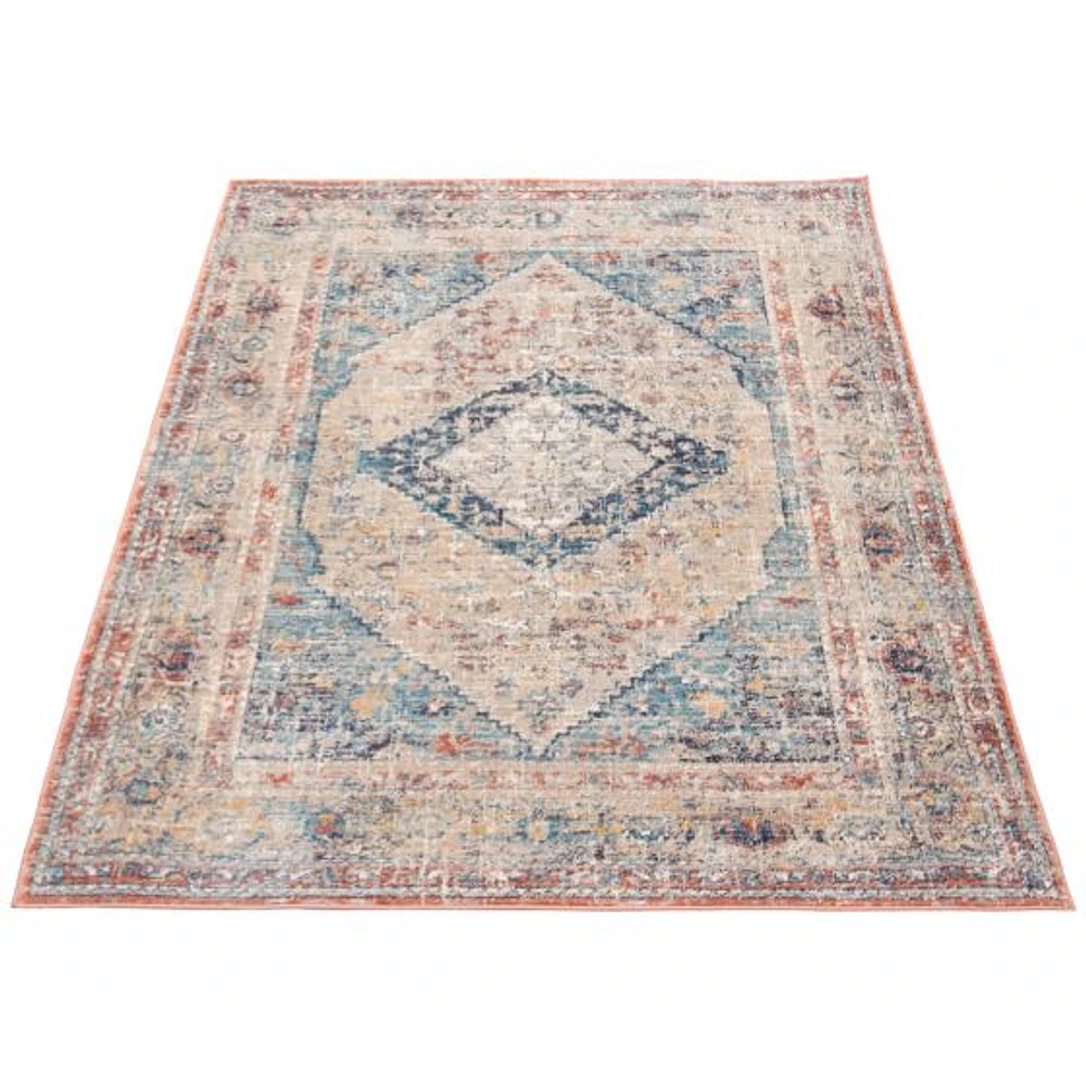 Ava Multi Color Rug