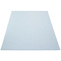 Gardenia Diamond Indoor/ Outdoor Light Blue Rug