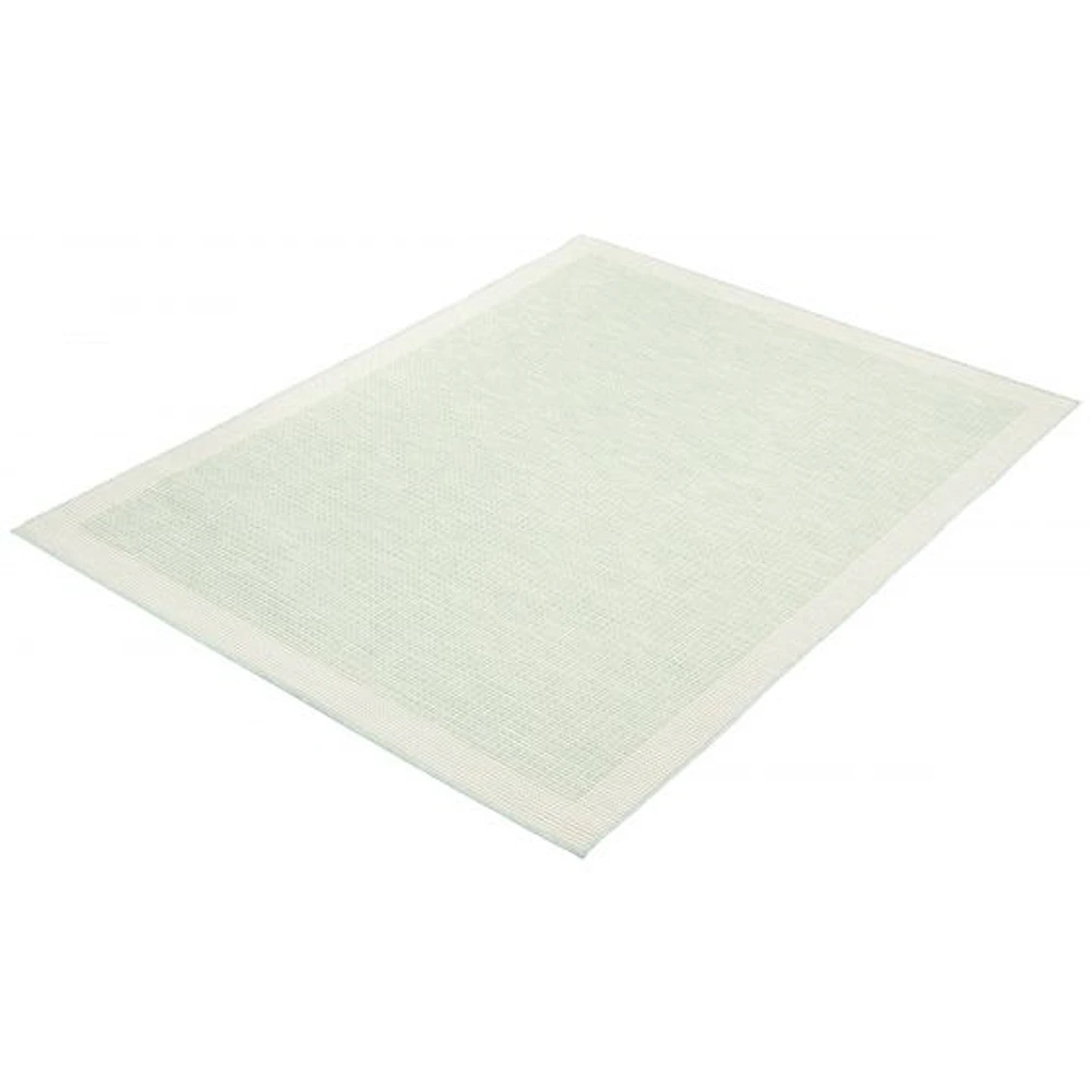 Gardenia Classic Indoor/ Outdoor Mint Rug