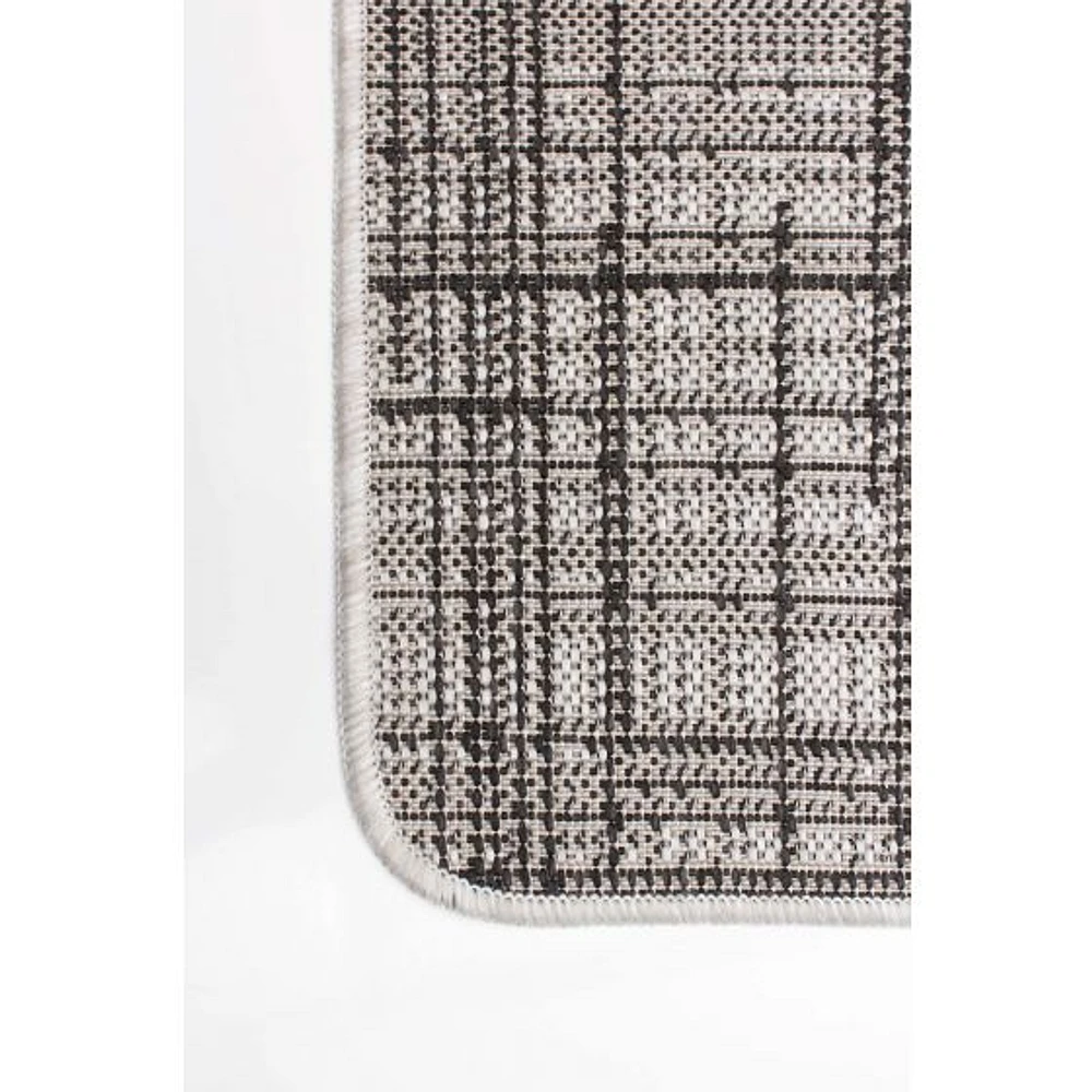 Zina Indoor/ Outdoor Rug