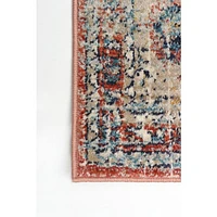 Ava Multi Color Rug