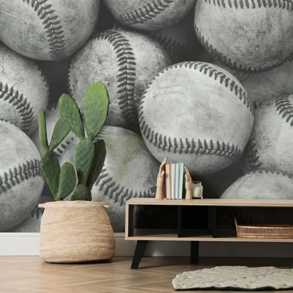 Baseball Bucket Wallpaper Mural