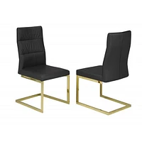 Set of 2 Cierra Dining Chairs