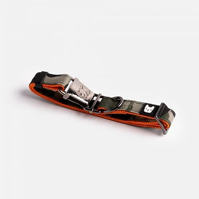 Ensemble de collier, laisse et boucle siège d'auto pour chiens par SilverPaw
