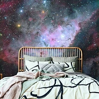 deep space nebula 2 Wallpaper Mural