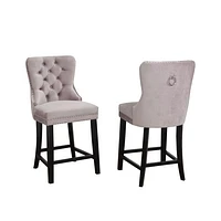 Set of 2 Arapoosh Counter Stools