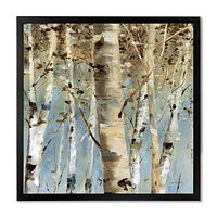 White Birch Forest II  Canvas Wall Art