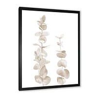 Beige Eucalyptus Branches on White  Wall Art