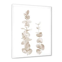 Beige Eucalyptus Branches on White  Wall Art