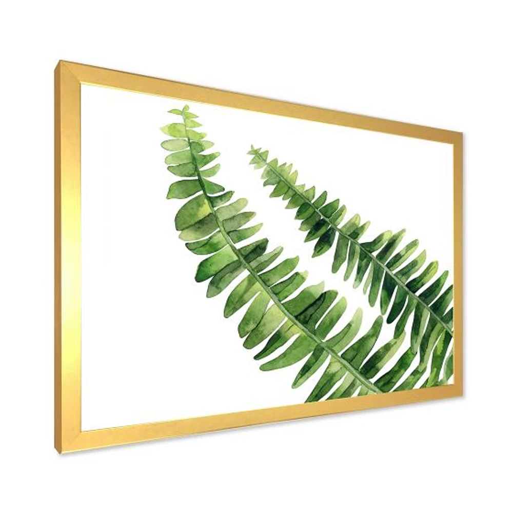 Fern Leaves Detail I  Wall Art