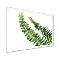 Toile « Fern Leaves Detail I