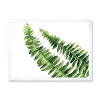 Toile « Fern Leaves Detail I