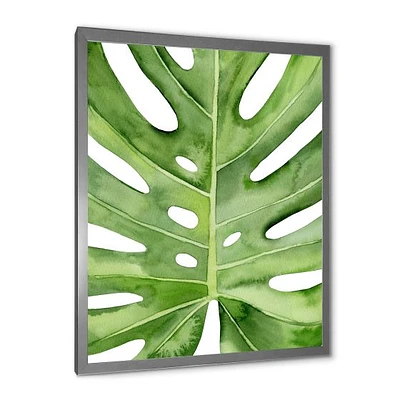 Green Monstera Leaf Tropical Palm Botanical Detail  Wall Art