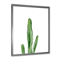 Toile « Green Cactus South Western Plant Botanical Detail »