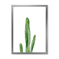 Toile « Green Cactus South Western Plant Botanical Detail »