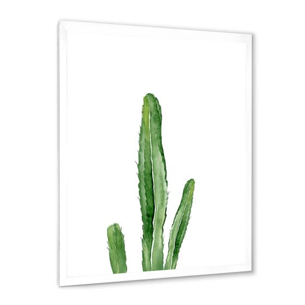 Toile « Green Cactus South Western Plant Botanical Detail »