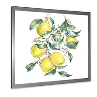 Toile « Branch of Yellow Lemons and Leaves I