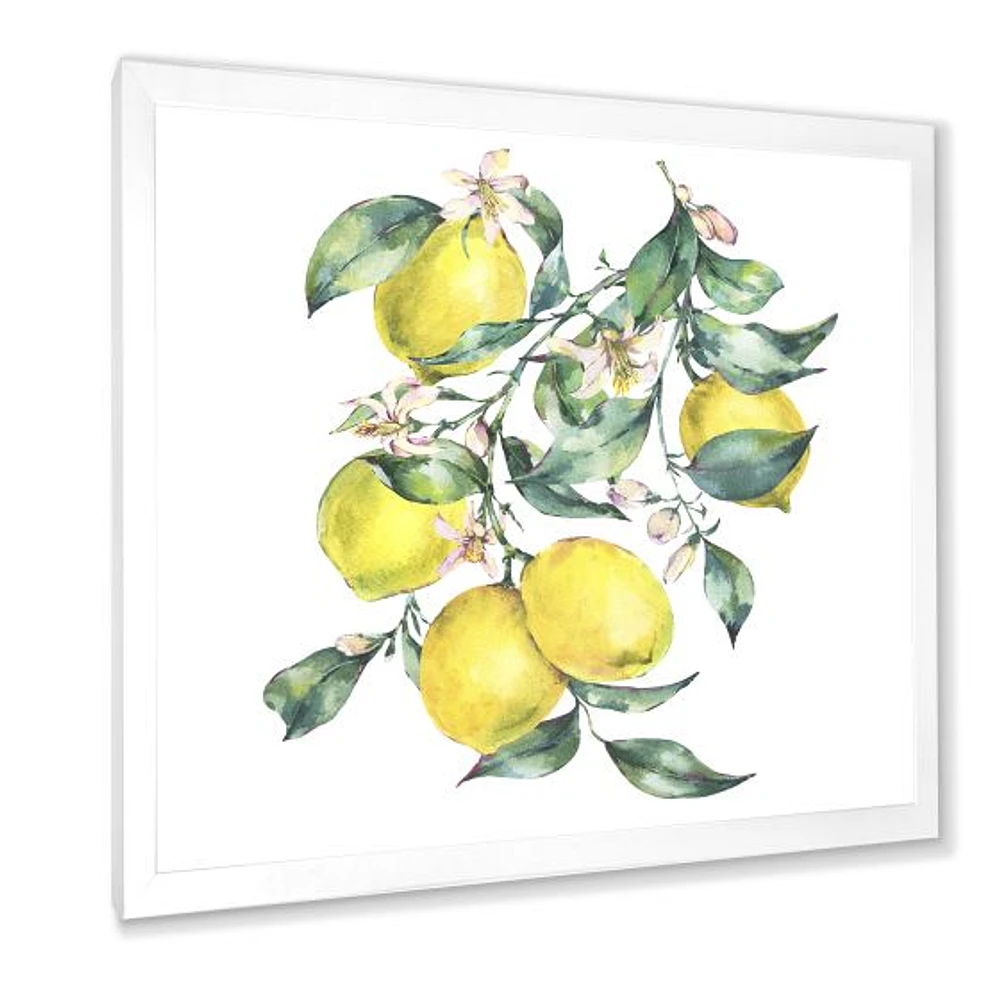 Branch of Yellow Lemons and Leaves I  Wall Art