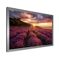 Sunrise & Dramatic Clouds Over Lavender Field IV  Wall Art