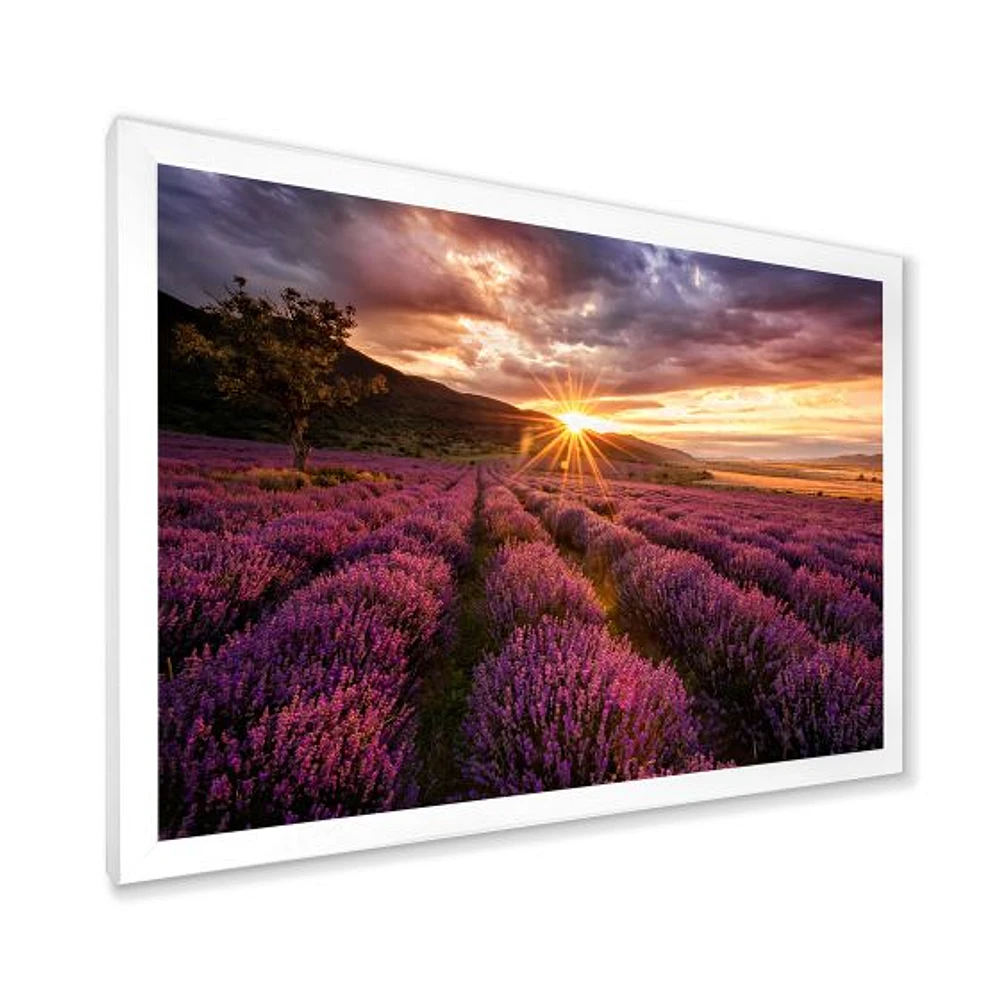 Sunrise & Dramatic Clouds Over Lavender Field IV  Wall Art