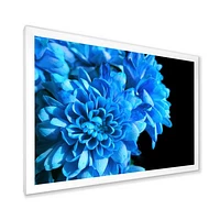 Detail of Blue Flowers on Black I  Wall Art