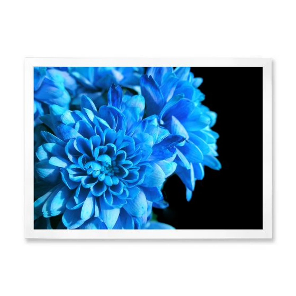 Detail of Blue Flowers on Black I  Wall Art