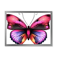 Toile « Bright Pink Butterfly Portrait