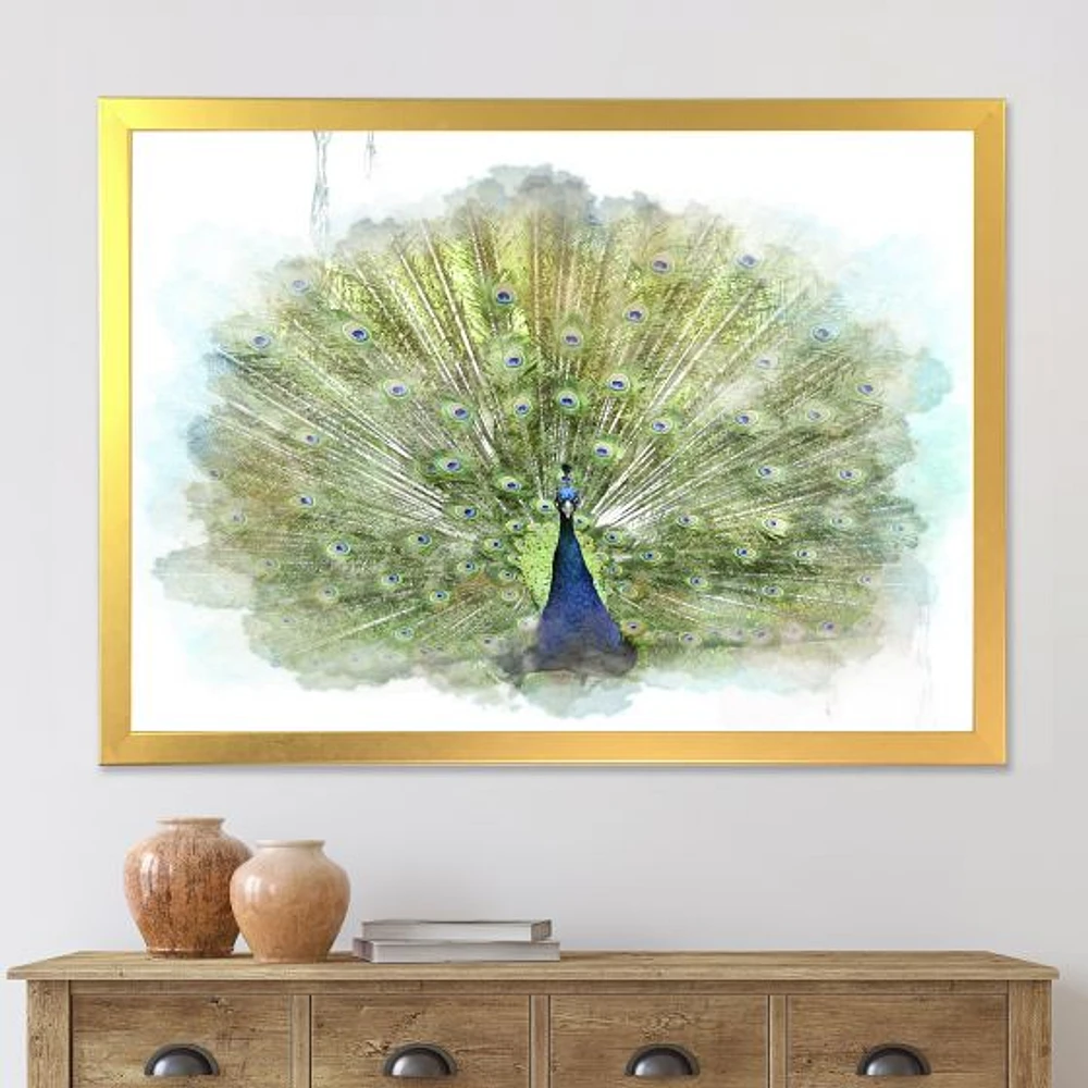 Peacock Bird  Wall Art