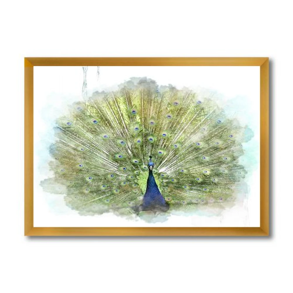 Peacock Bird  Wall Art