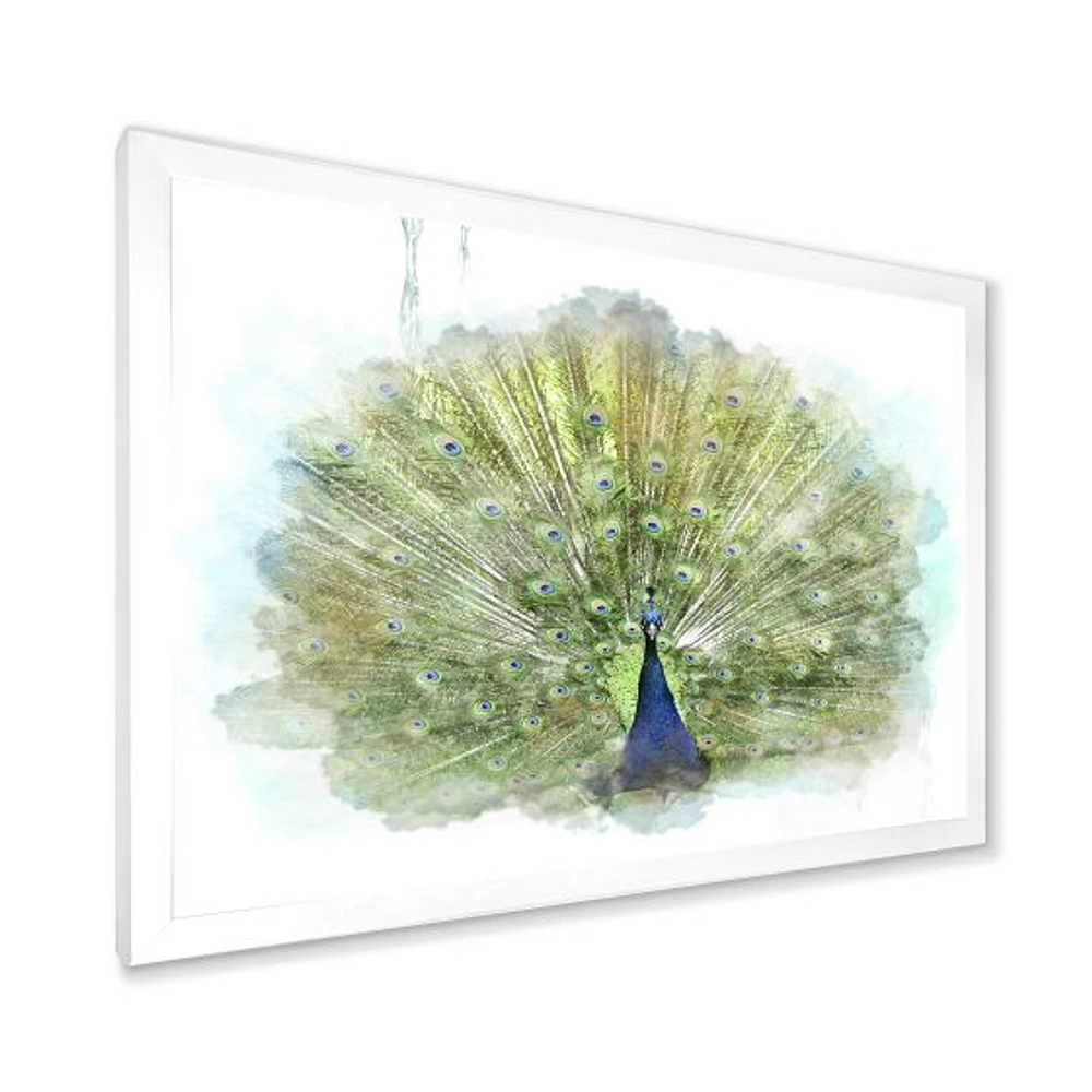 Peacock Bird  Wall Art