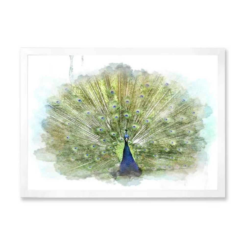 Peacock Bird  Wall Art