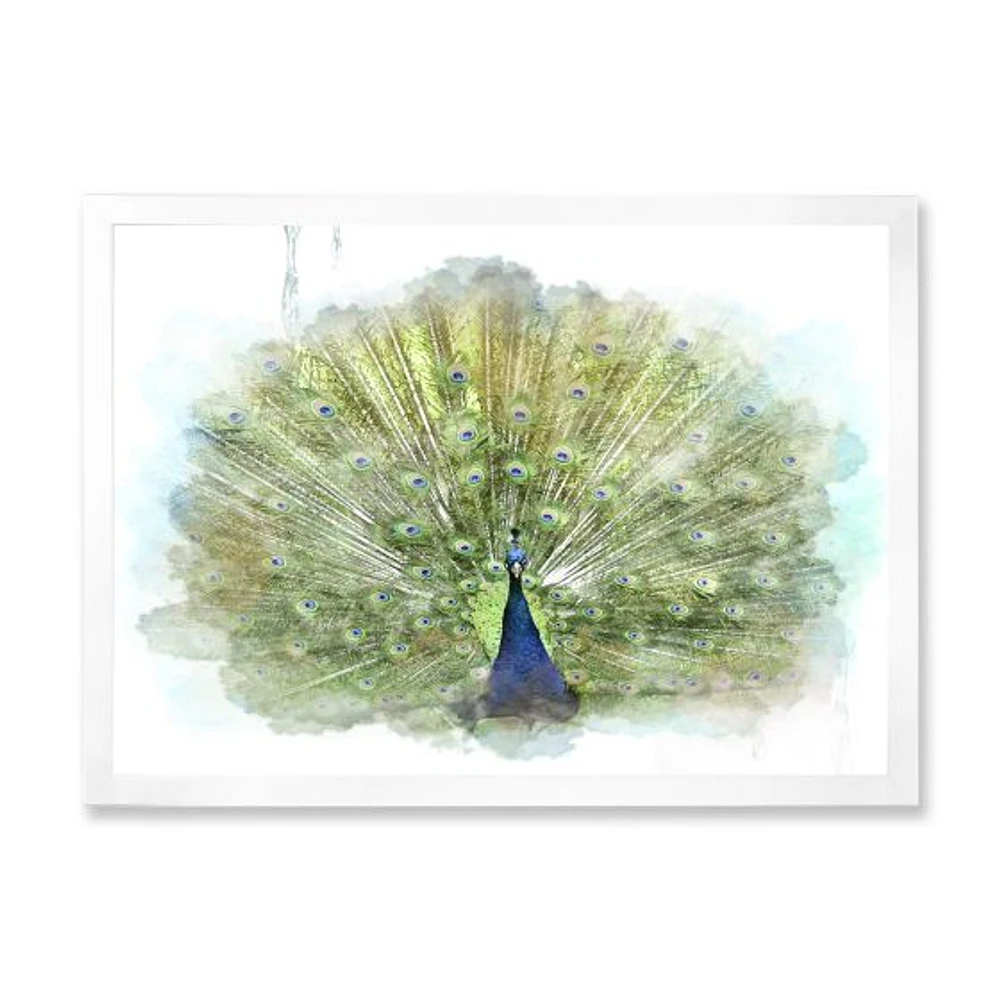 Peacock Bird  Wall Art