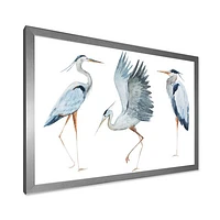 Toile « Heron Birds II