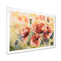 Red Poppy on A Field  Wall Art