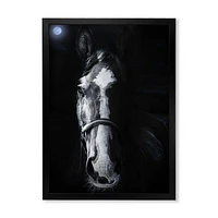 Toile « Horse Staring Sinister »