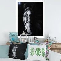 Toile « Horse Staring Sinister »