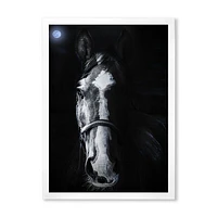 Toile « Horse Staring Sinister »