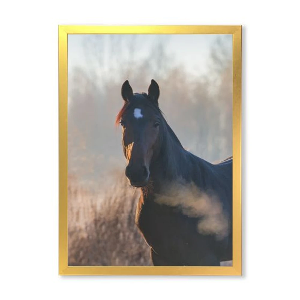 Portrait of A Horse on An Autumn Morning  Wall Art