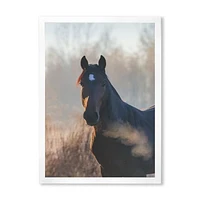 Portrait of A Horse on An Autumn Morning  Wall Art