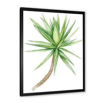 Detail of Yucca Tree  Canvas Wall Art Print