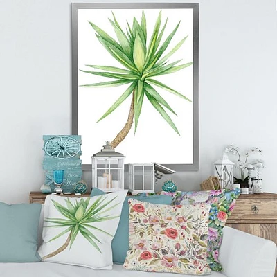 Detail of Yucca Tree  Canvas Wall Art Print