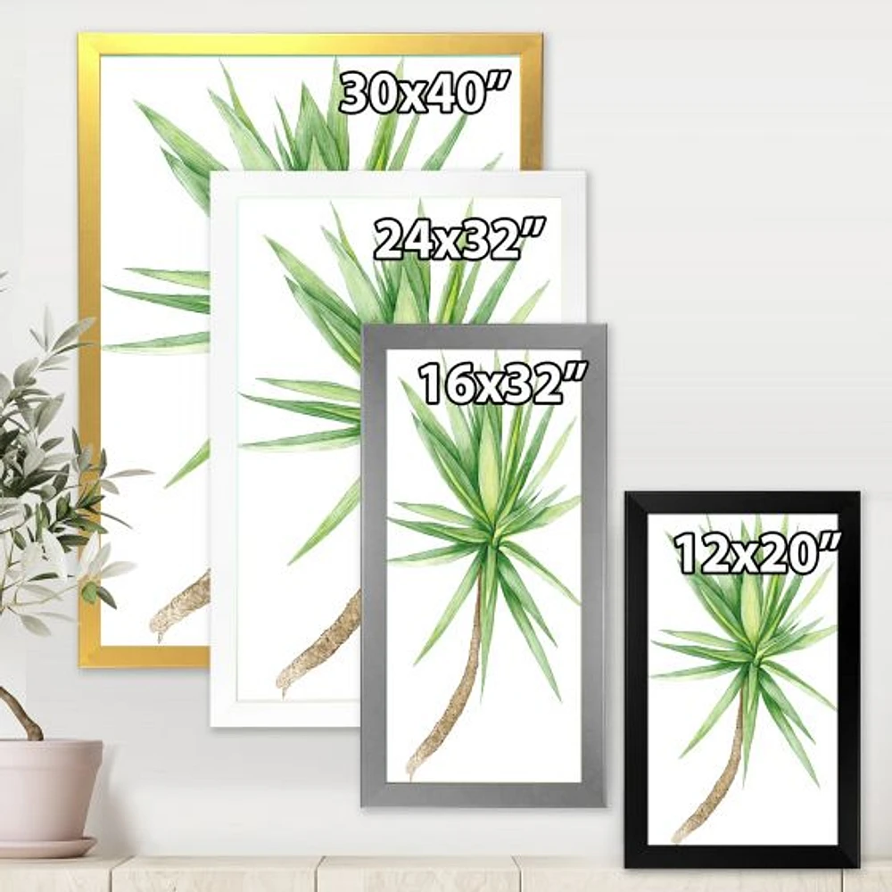 Detail of Yucca Tree  Canvas Wall Art Print