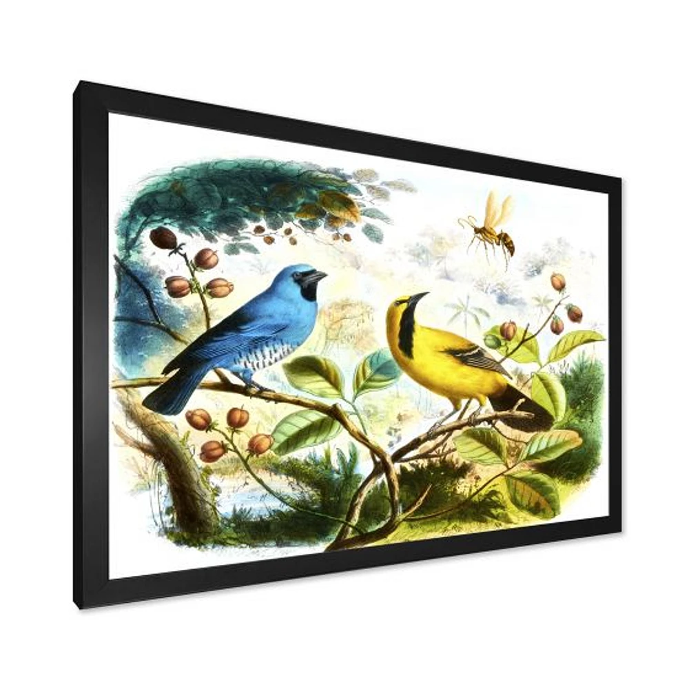 Blue and Yellow Bird The Wild  Canvas Wall Art Print