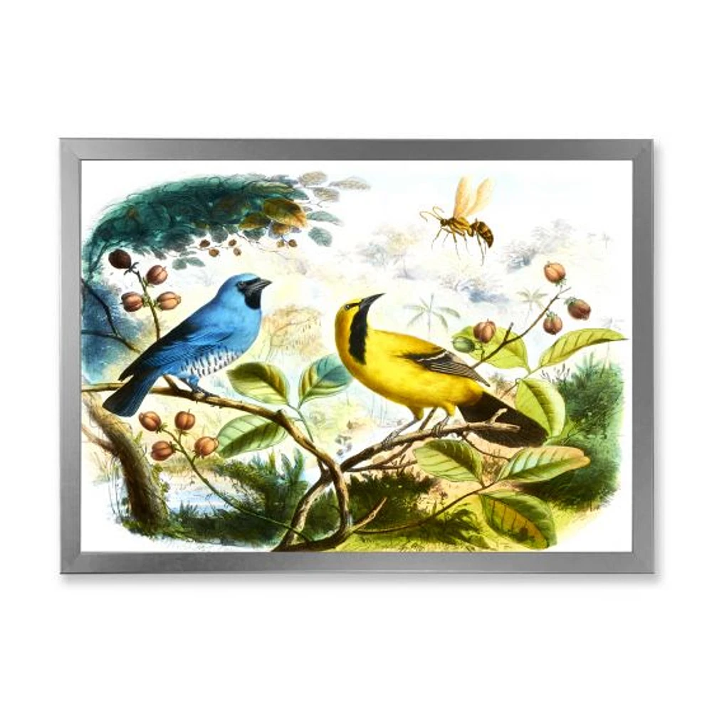 Blue and Yellow Bird The Wild  Canvas Wall Art Print