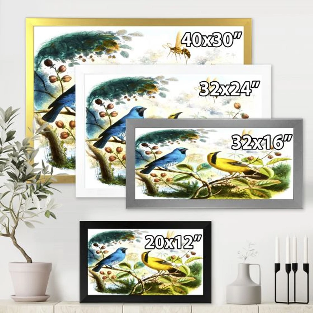 Blue and Yellow Bird The Wild Canvas Wall Art Print