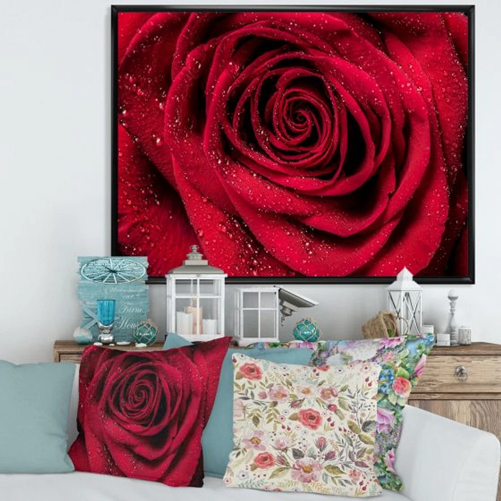 Red Rose Petals with Rain Droplets  Canvas Art Print